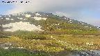 area1-20250602063019.jpg