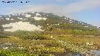 area1-20250602072019.jpg
