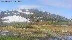 area1-20250602074019.jpg
