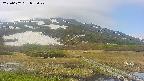 area1-20250602083021.jpg
