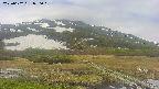 area1-20250602090019.jpg