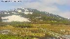 area1-20250602093018.jpg