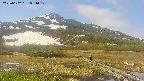 area1-20250602094018.jpg