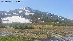 area1-20250602104019.jpg