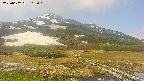 area1-20250602105019.jpg