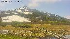 area1-20250602110018.jpg