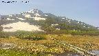area1-20250602113020.jpg