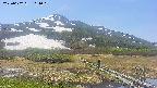 area1-20250602114017.jpg