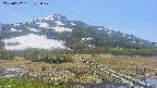 area1-20250602123021.jpg