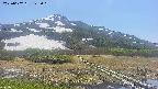 area1-20250602125019.jpg