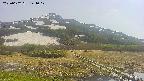 area1-20250602144018.jpg