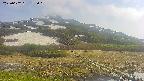 area1-20250602155020.jpg