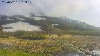 area1-20250602160018.jpg