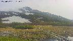 area1-20250602165020.jpg