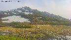 area1-20250602180019.jpg