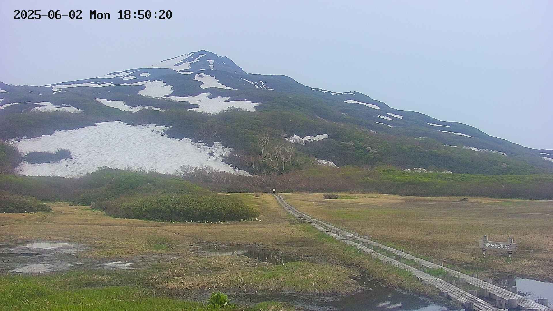 area1-20250602185021.jpg