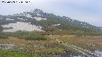 area1-20250603050016.jpg