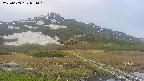 area1-20250603051016.jpg