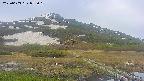 area1-20250603055018.jpg