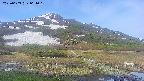 area1-20250603064020.jpg