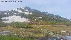 area1-20250603070018.jpg