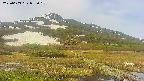 area1-20250603072019.jpg