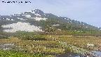 area1-20250603074018.jpg