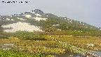 area1-20250603080020.jpg
