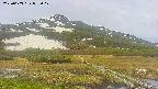 area1-20250603082018.jpg