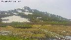 area1-20250603092019.jpg