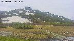area1-20250603093018.jpg