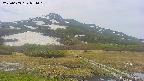 area1-20250603094019.jpg