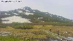 area1-20250603100020.jpg
