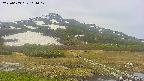area1-20250603101018.jpg