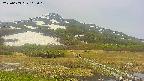 area1-20250603102019.jpg