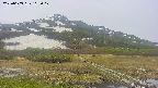 area1-20250603103018.jpg