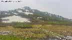 area1-20250603120018.jpg