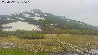 area1-20250603140017.jpg