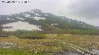 area1-20250603144017.jpg