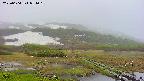 area1-20250604051020.jpg
