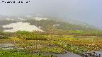 area1-20250604053020.jpg