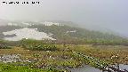 area1-20250604054016.jpg