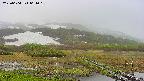 area1-20250604061016.jpg