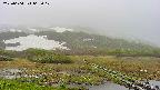 area1-20250604062018.jpg
