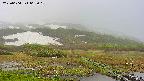 area1-20250604063019.jpg