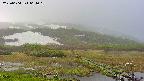 area1-20250604064020.jpg