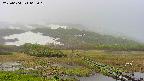 area1-20250604065019.jpg