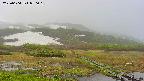 area1-20250604070017.jpg