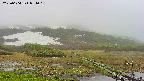 area1-20250604071016.jpg