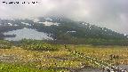 area1-20250604120017.jpg